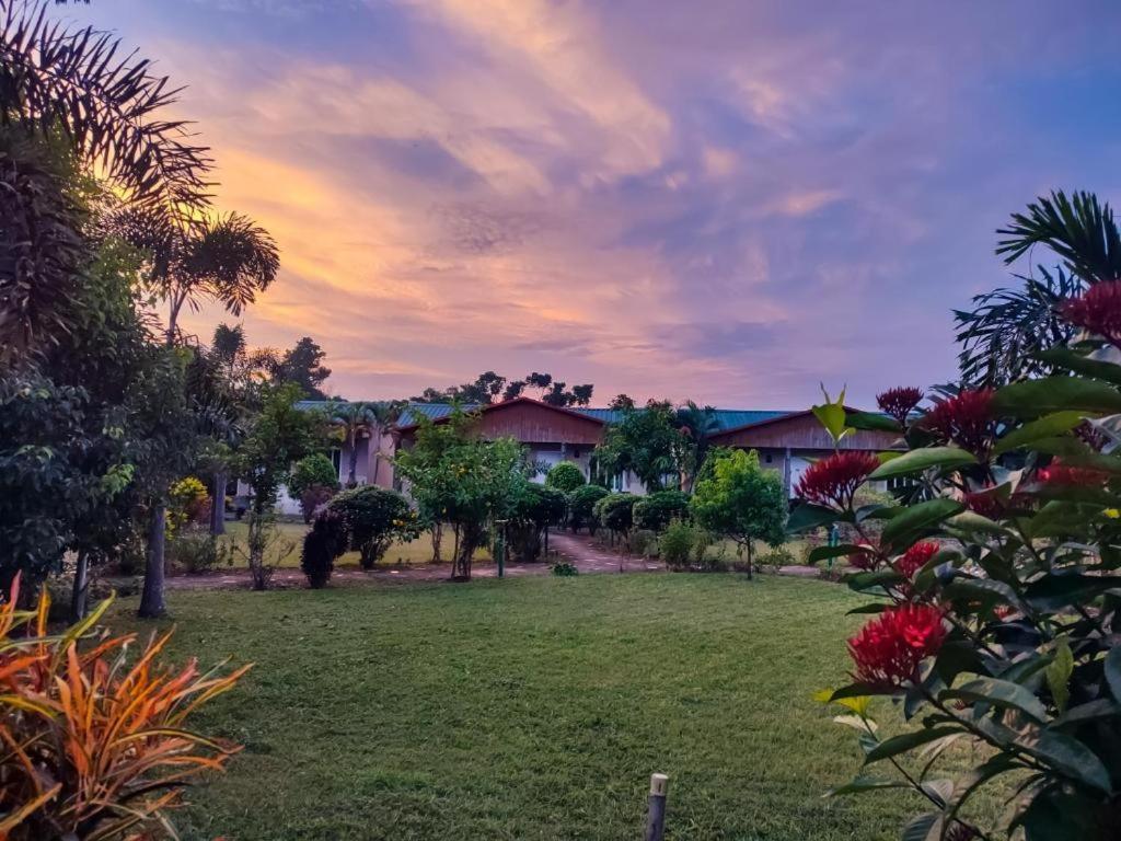 Hotel Greenland Safari Sauraha Buitenkant foto