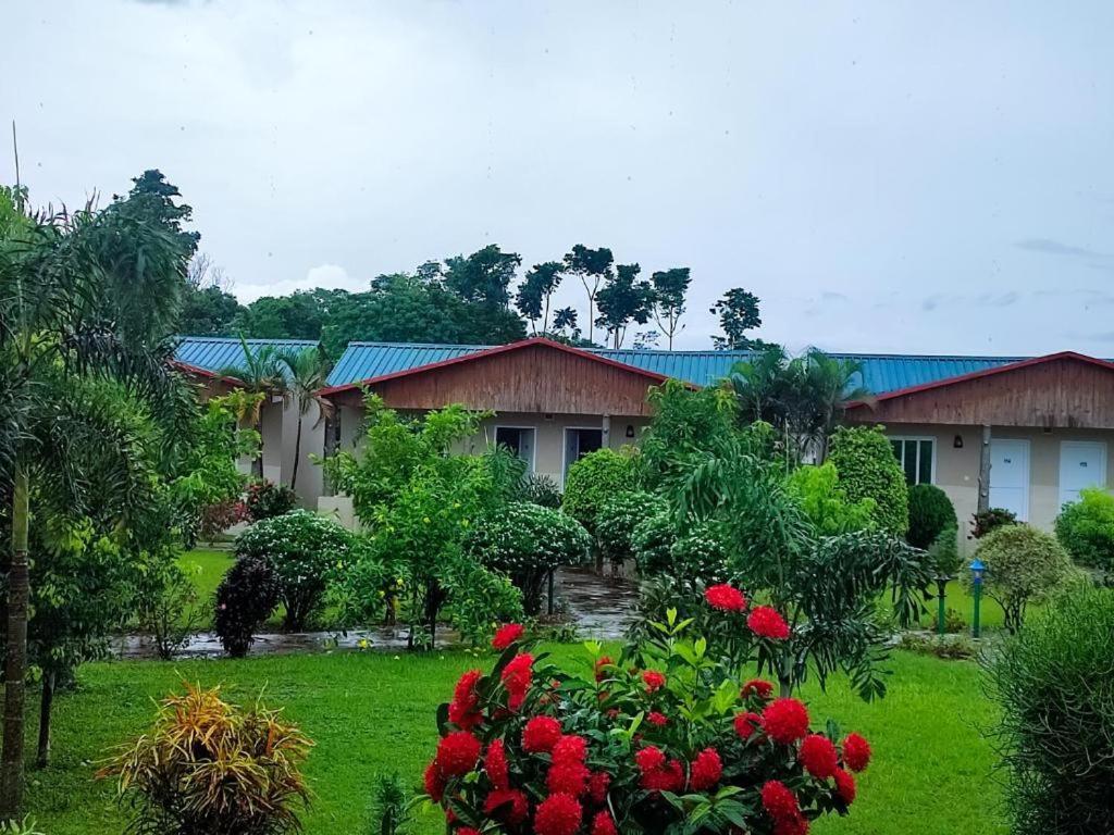 Hotel Greenland Safari Sauraha Buitenkant foto
